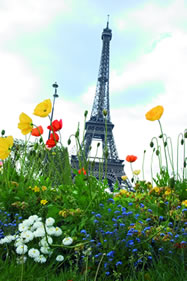 Eifelturm - Die neuesten Nachrichten aus Paris