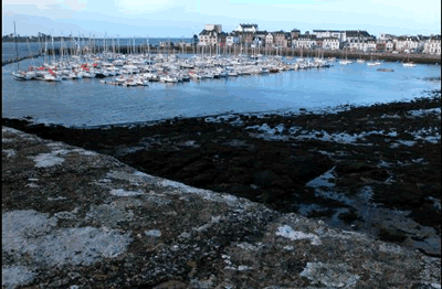 Blick auf den Hafen von Concarneau im Département Finistère bei Ebbe. Eine Besichtigung von Concarneau ist nur zu empfehlen.
