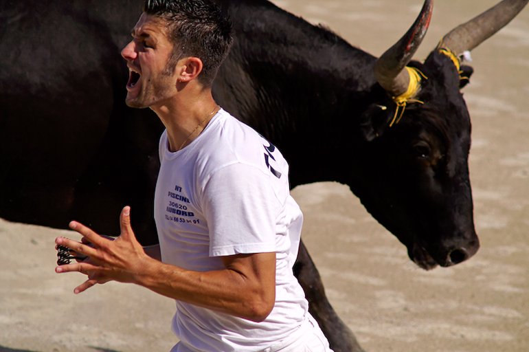 Der Course Camarguaise ist in Südfrankreich beliebt. Rasetuer oder Tourneur genannte mutige Männer stellen sich dem Stier