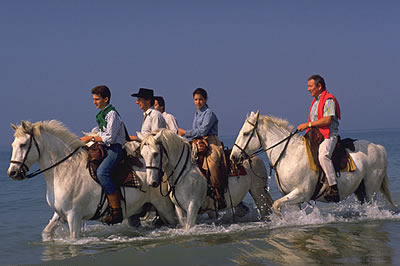 Die Bewohner der Camargue sind wie ihr Land. Sie empfangen den Fremden mit offenen Armen und begegnen ihm freundlich.