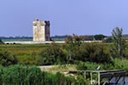 Fotos Camargue