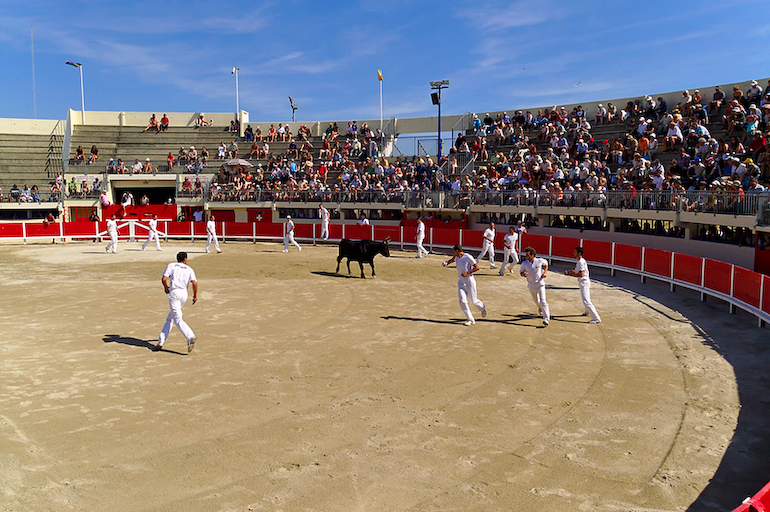 Ein gut besuchter Stierkampf in Südfrankreich. Viele Cowboys in der Arena halten den Stier in schach