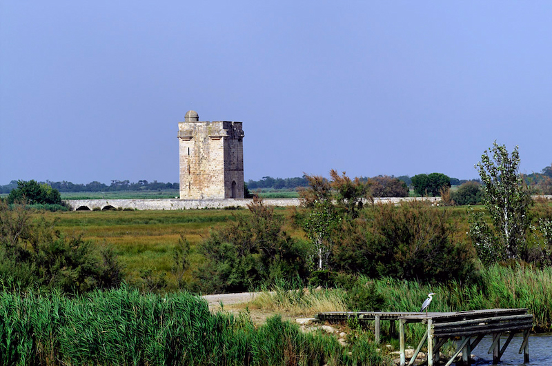 Aigues-Mortes ist eine französische Stadt im Département Gard. Etwa zwei Kilometer nordöstlich der Stadt, befindet sich die Tour Carbonnière (Kohleturm)