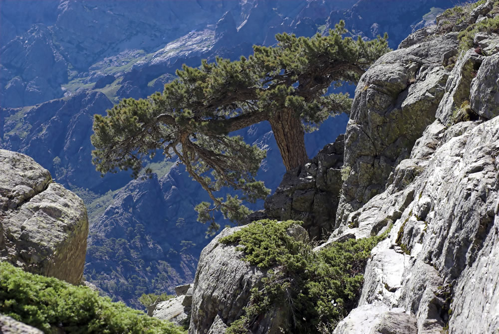 Natur Pur auf Korsika erleben. Beim Wandern auf Korsika erlebt man wunderschöne und beeindruckende Landschaften. 