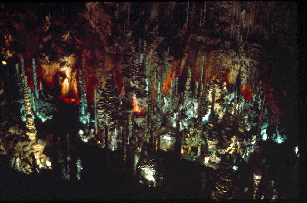 Aven Armand ist eine Karsthöhle auf der Causse Méjean in Lozère, Frankreich. Der Name der Höhle stammt von seinem Entdecker Aven Armand