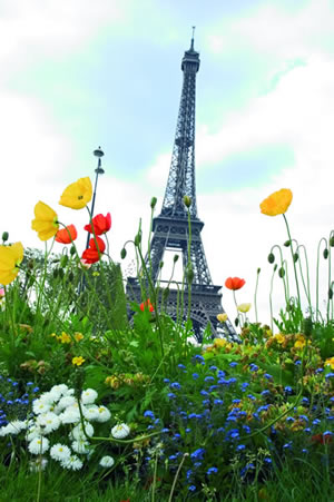 Der Parc du Champ de Mars wurde früher zu militärischen Zwecken genutzt. Man kann vom Champs de Mars direkt auf den Eiffelturm blicken