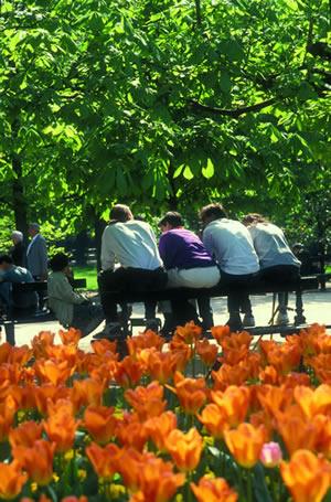 Im Quartier Latin befindet sich der Jardin du Luxembourg, früher war dieser ein königlicher Schlosspark. Heute steht er Besuchern offen.