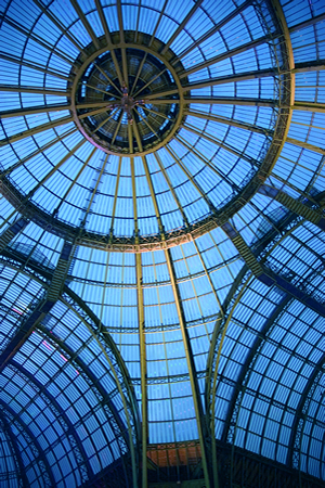 Das Ausstellungsgebäude Grand Palais wurde für die Weltausstellung im Jahr 1900 in Paris errichtet. Heute dient es als Museum um Galerie