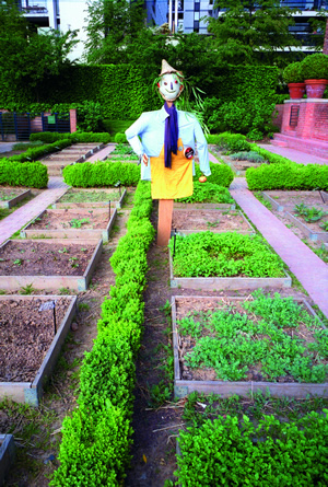 Das Maison du Jardinage ist eine echte Bezugsgröße in Paris. Regelmäßig werden Ausstellungen und Aktivitäten für Kinder organisiert. 