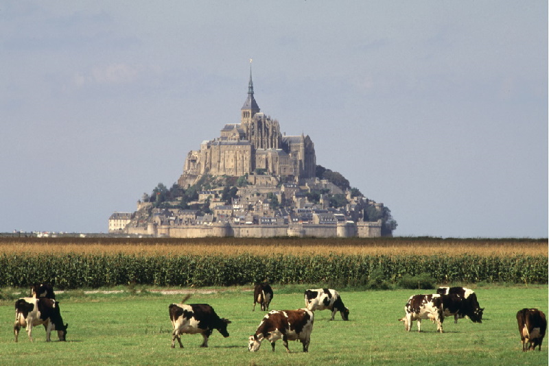 Die felsige Insel Mont-Saint-Michel im Ärmelkanal, etwa 1 Kilometer vor der Küste der Normandie entfernt. Auf dem Berg thront eine Benediktinerabtei. 