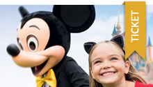 Disneyland Paris Express-Tickets mit Shuttle Transport