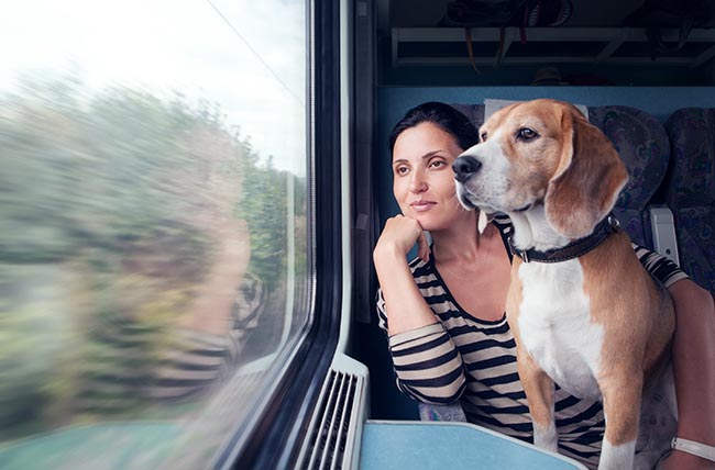 Eine Frau reist mit Ihrem Hund im Zug