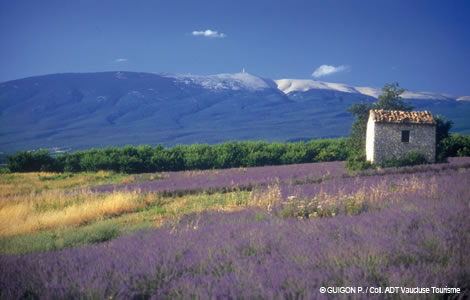 Mont Ventoux