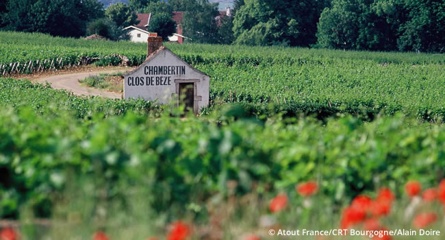 Burgund Weine