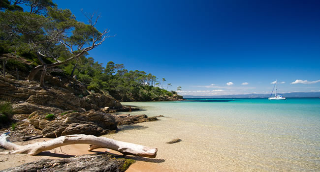 Porquerolles eine Insel in Hyères gehört zu den chönsten Stränden der Côte d'Azur 