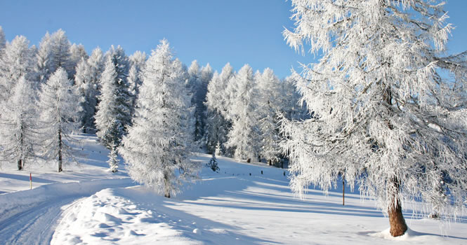 Winterurlaub in Frankreich